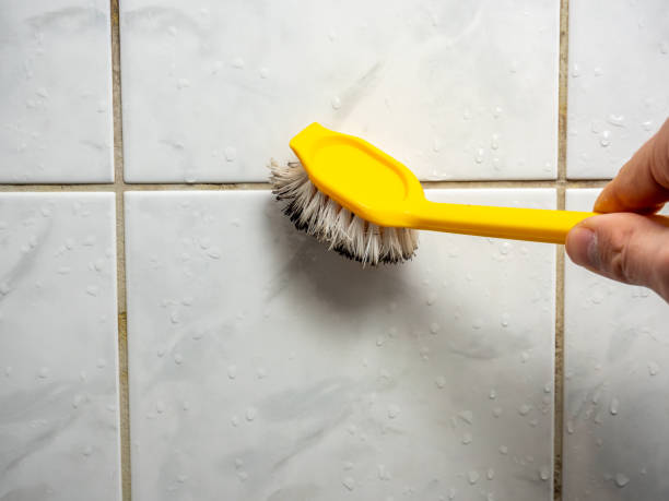 Best Toxic Mold Removal  in Arbutus, MD