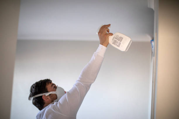 Best Mold Remediation Services  in Arbutus, MD
