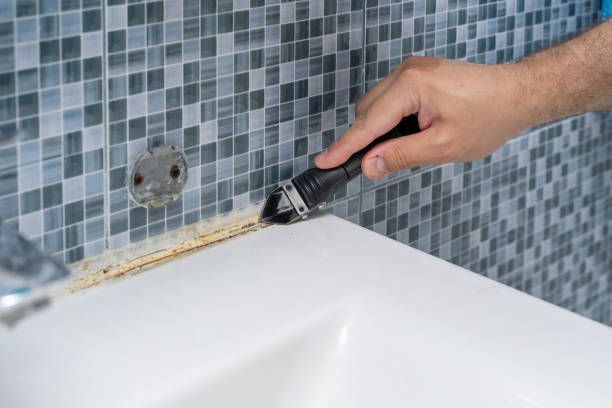 Best Fast Mold Removal  in Arbutus, MD
