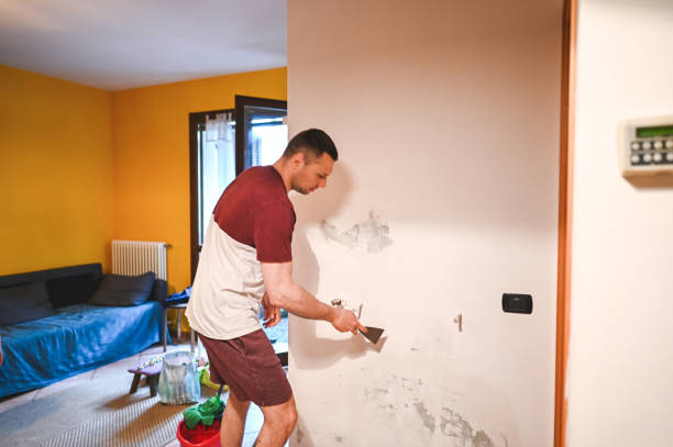 Professional Mold Removal in Arbutus, MD